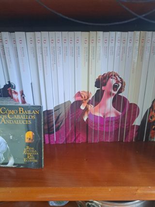 Se venden más de 90 CD música clásica y 0pera