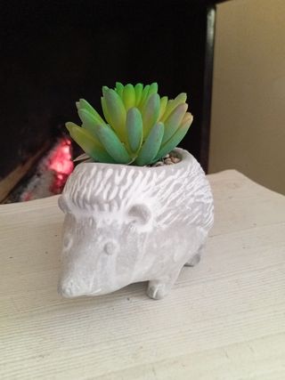 Puercoespin maceta de Piedra