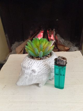 Puercoespin maceta de Piedra