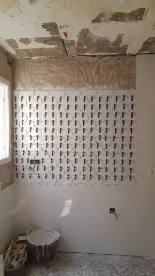 Reformas Particulares y pinturas Negociable