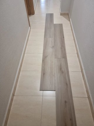 Reformas Particulares pintura Negociable economico