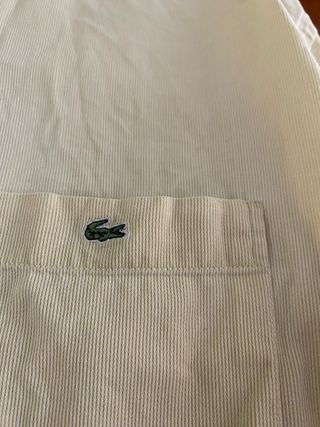 Camisa lacoste 