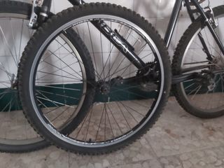 Rueda Orbea más cubierta completa 