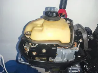 Motor fuera borda 2.5cv