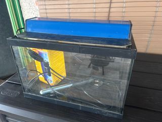 Mini acuario de 20 litros