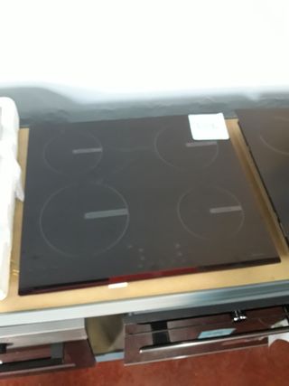 Placa de inducción muy rebajada de precio