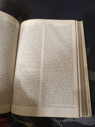 D. Quijote de la Mancha