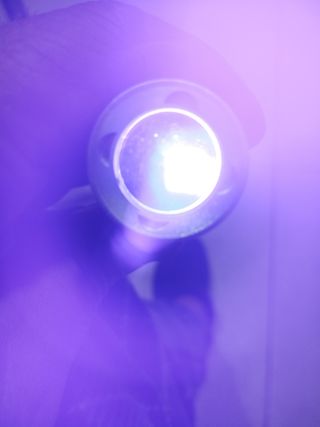 Linterna UV hay varias