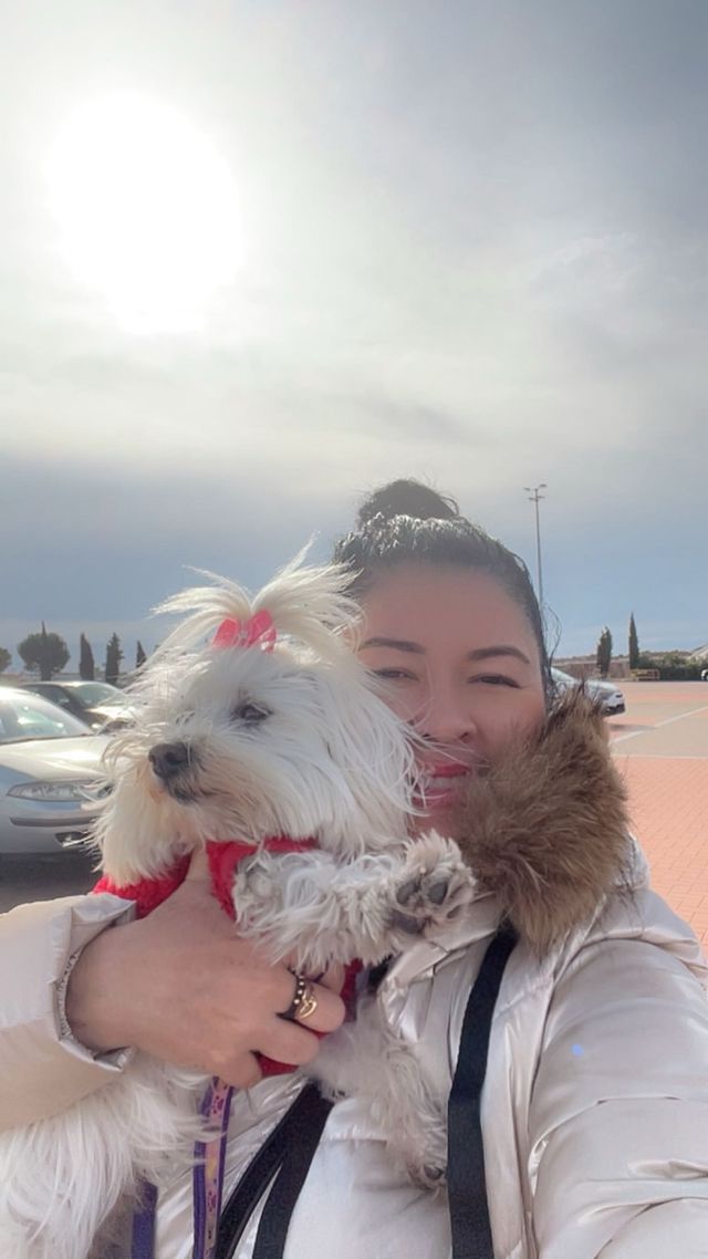 Paseos para perros felices y saludables!