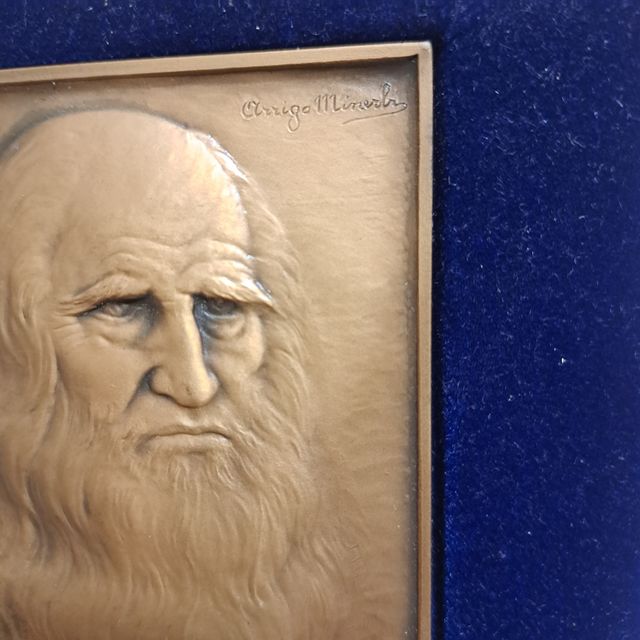 Placca in bronzo Arrigo Minerbi