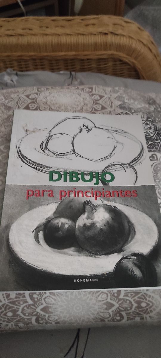 Libro para aprender a dibujar