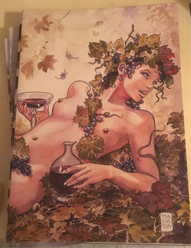 6 Catálogos y Revistas de Vilaviniteca