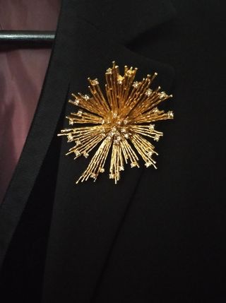 Magnífico broche Stardust firmado Panetta