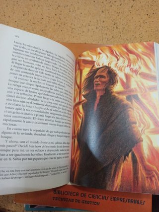 Frankenstein - Aula De Literatura (Spanish Edition)