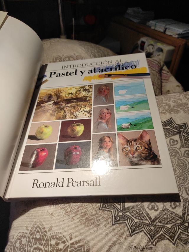 Pintar con pastel y acrilico