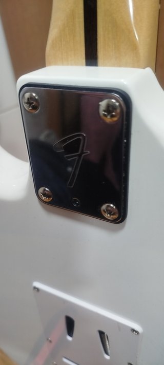 Guitarra exclusiva tipo Stratocaster