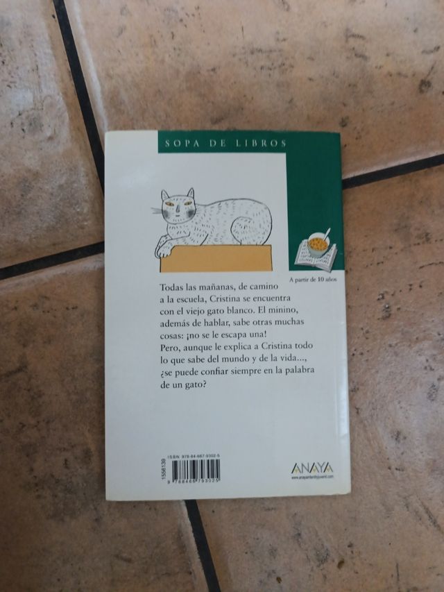 El gato (o cómo perdí la eternidad) (Sopa De Libros / Books Soup) (Spanish Edition)