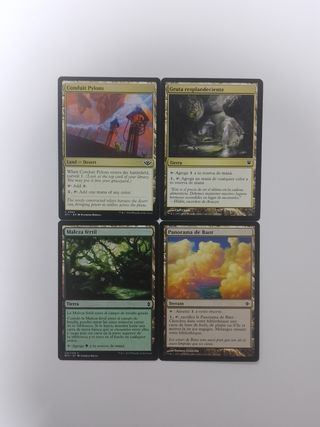 Lote De 50 Cartas Magic Tierras Especiales.