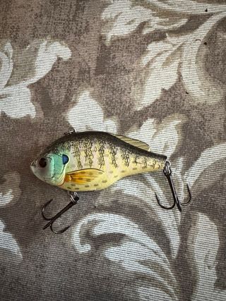 Señuelo pesca