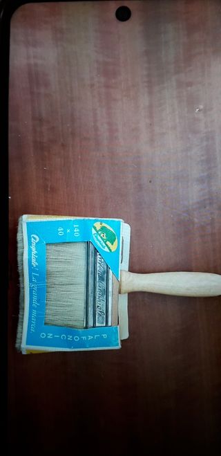 Pennellessa nuova Cinghiale