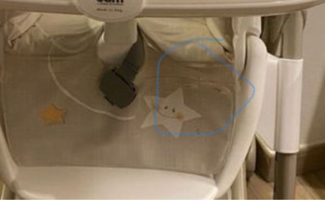 Seggiolone pappananna cam