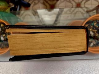 Biblia Nueva Edición Guadalupana