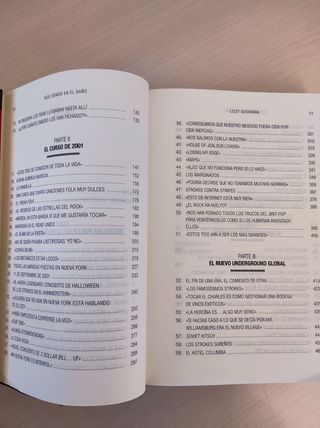 Nos vemos en el baño: Renacimiento y Rock and Roll en Nueva York, 2001-2011 (Neo-Sounds) (Spanish Edition)