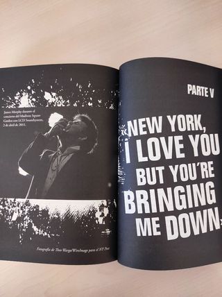 Nos vemos en el baño: Renacimiento y Rock and Roll en Nueva York, 2001-2011 (Neo-Sounds) (Spanish Edition)