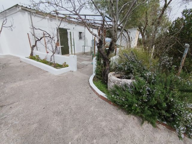 Casa de campo con escritura,105m2 9700m2 Acinipo