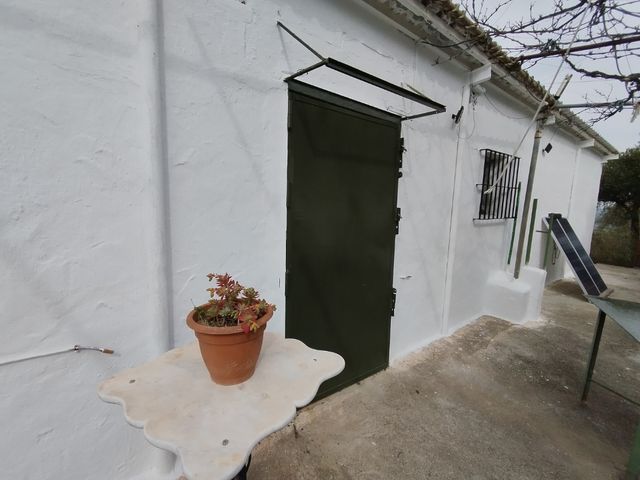 Casa de campo con escritura,105m2 9700m2 Acinipo