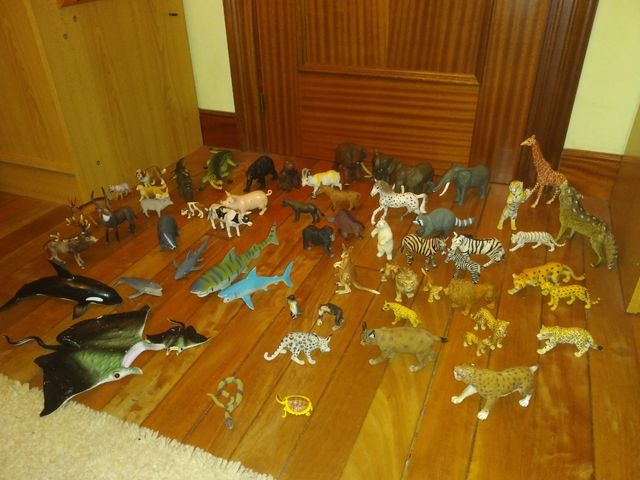 Animales coleccionismo