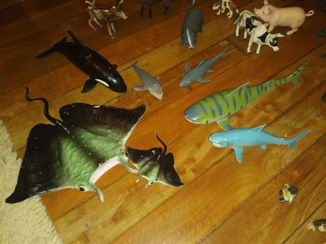 Animales coleccionismo