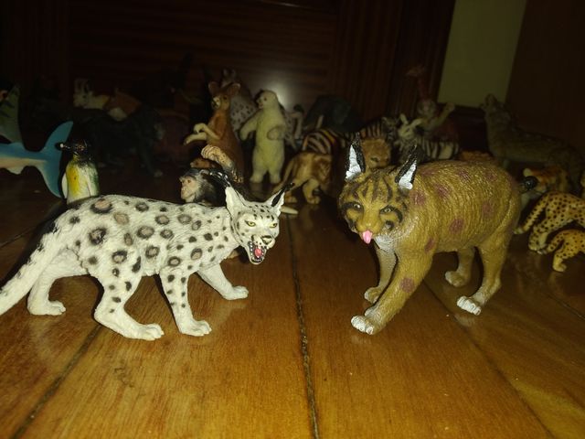 Animales coleccionismo