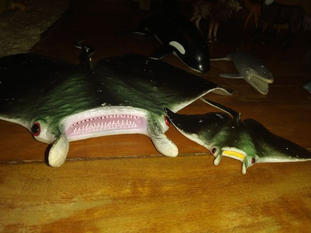 Animales coleccionismo