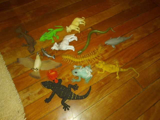 animales blanditos y elásticos