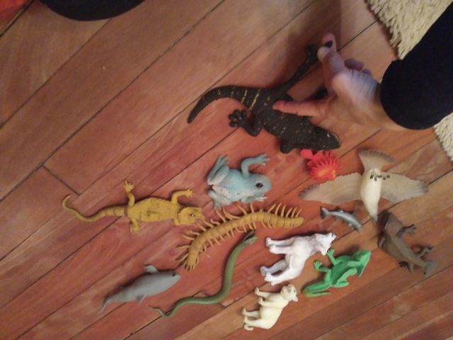 animales blanditos y elásticos