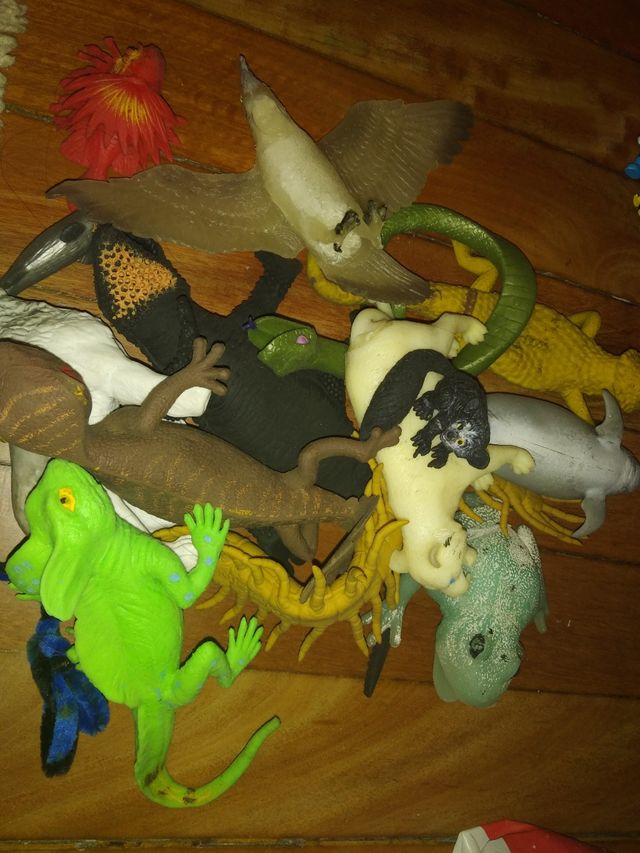 animales blanditos y elásticos