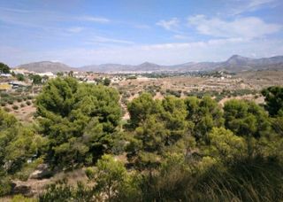 Monóvar (36.545 m2) Terreno