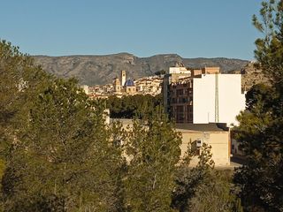 Monóvar (36.545 m2) Terreno