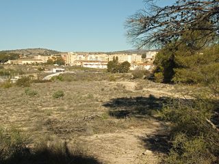 Monóvar (36.545 m2) Terreno