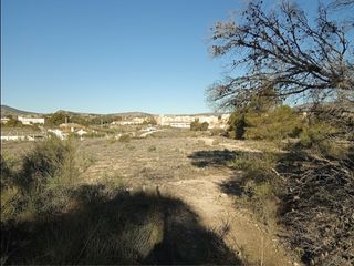 Monóvar (36.545 m2) Terreno