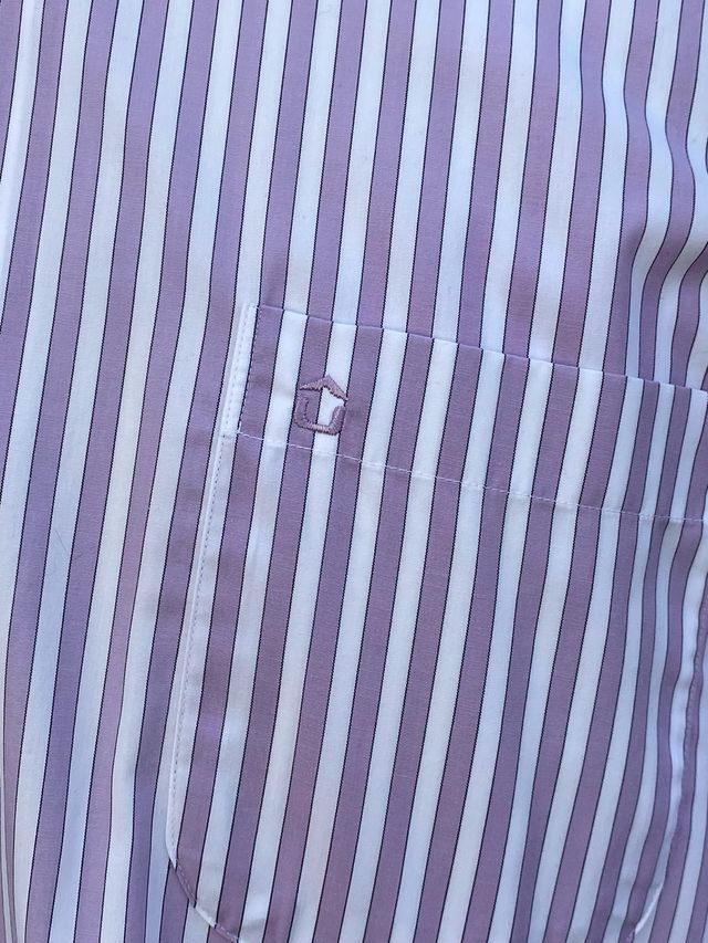 Camisa de rayas Ledub