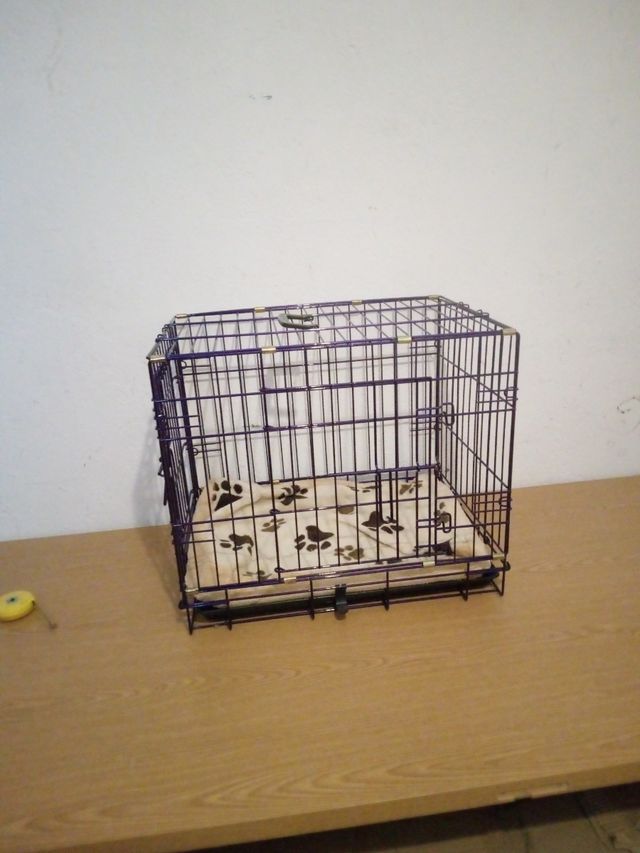 Gaiola de transporte de cães