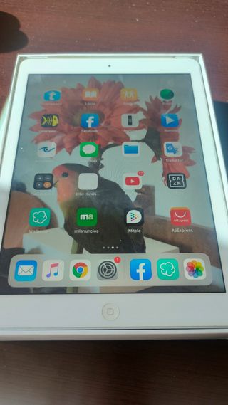 iPad Air 