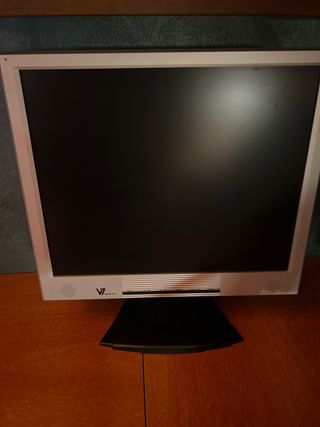 Monitor ordenador