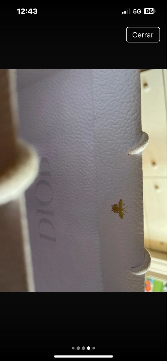 Bolsa y caja almacenaje firma lujo