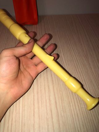 Flauta HOHNER 9516