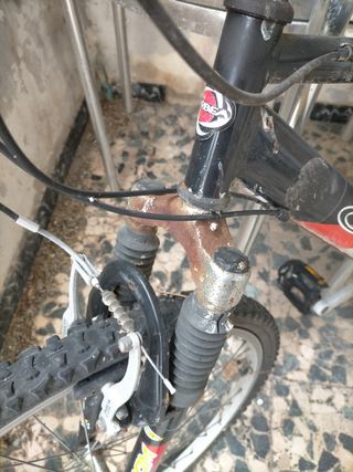 Bicicleta