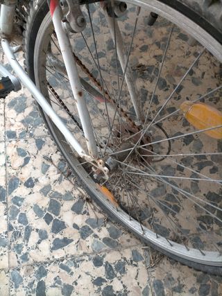 Bicicleta