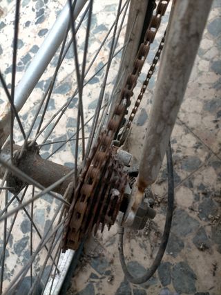 Bicicleta